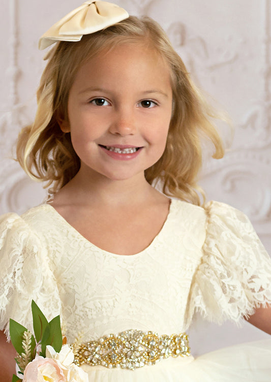 Silver or Gold Crystal Rhinestone Satin Ribbon Sash